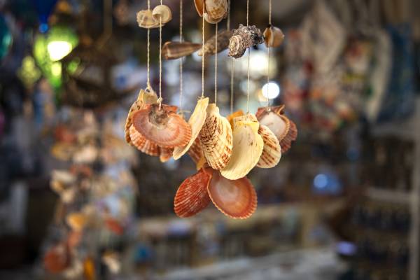 coastal-shopping-store