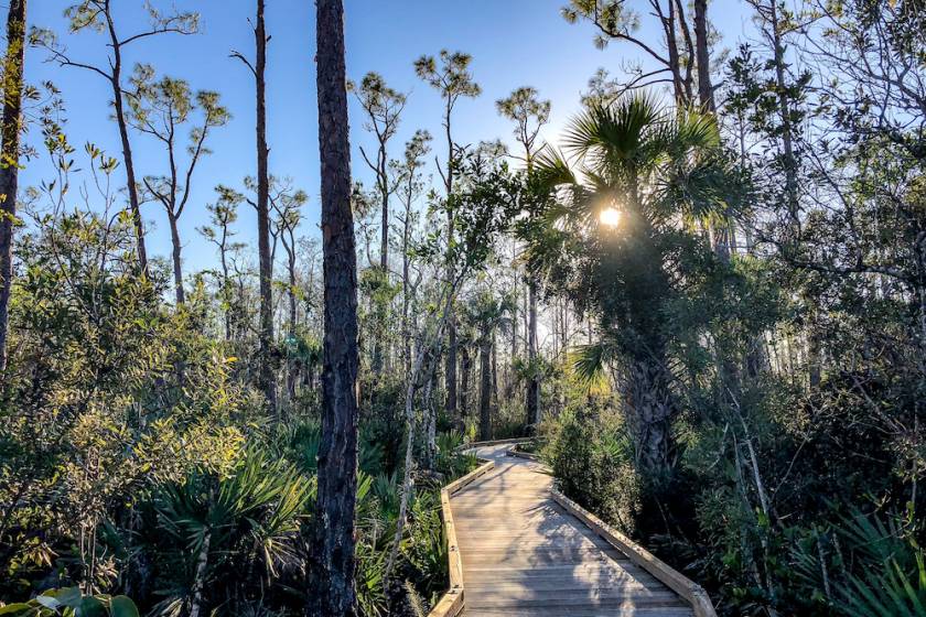 wooden hiking path through Florida natural area
