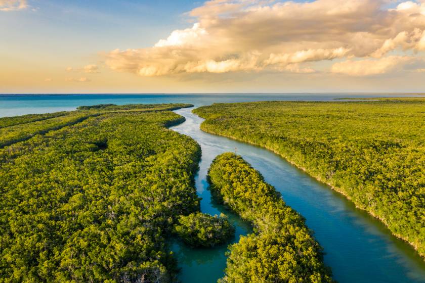 Landscape with an aerial view of wetlands in Everglades National Park at sunset, Florida, USA