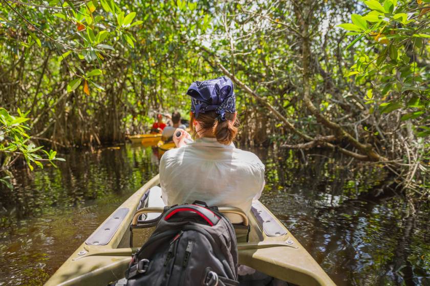 view of back of woman sitting in a kayak as they paddle through mangroves in florida